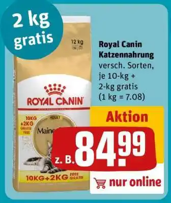 REWE Royal Canin Katzennahrung Angebot