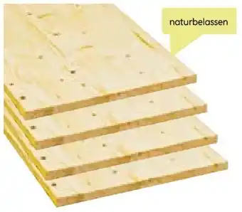 BayWa Basic Leimholz Angebot