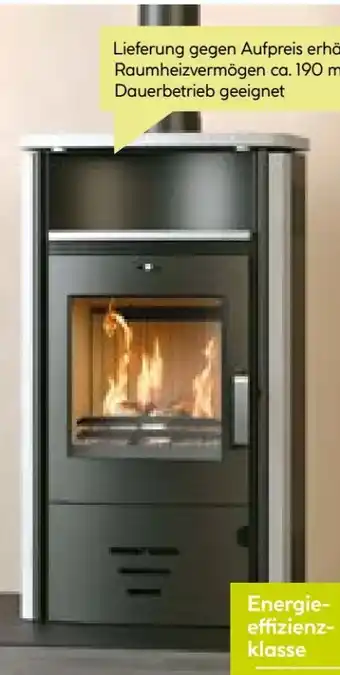 BayWa Kaminofen Stockholm 4.0 Angebot