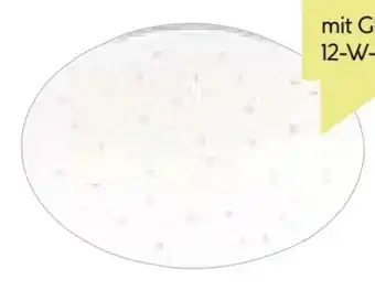 BayWa LED-Deckenleuchte Kim Angebot