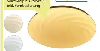 BayWa Flector LED-Deckenleuchte Galaxy Angebot