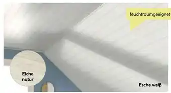 BayWa Paneel Basic Angebot