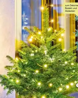 BayWa LED Lichterkette Angebot