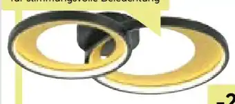 BayWa Flector Technik LED-Deckenleuchte Rengas Angebot