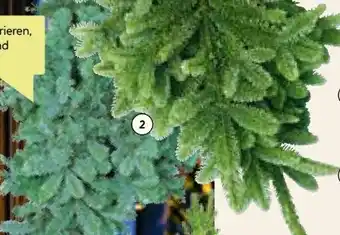 BayWa Tannenzweige Blaue Edeltanne Angebot