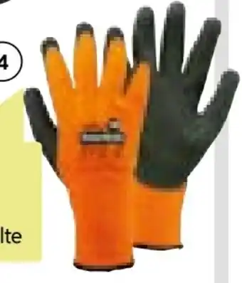 BayWa Work Power Thermo-Handschuh Polar Grap Angebot