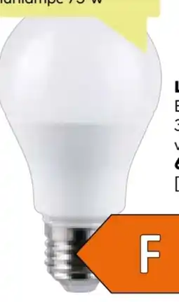 BayWa Flector Technik LED-Glühlampe Angebot