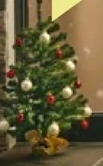 BayWa Ambientis Mini-Weihnachtsbaum Angebot