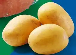 Lidl Bio Speisekürbis Hokkaido Angebot