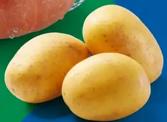 Lidl Bio Speisekürbis Hokkaido Angebot