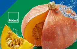 Lidl Bio-Speisekartoffeln Angebot