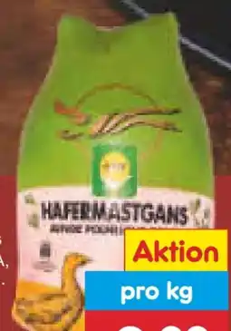 Netto Marken-Discount AMI Junge Polnische Hafermastgans Angebot
