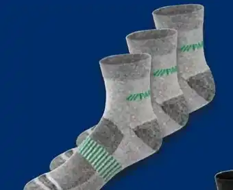 Lidl Parkside Arbeitssocken 3 Paar Angebot