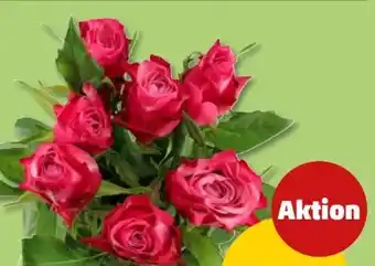 PENNY Langstielige Rose Angebot
