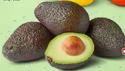 PENNY Marktliebe Avocado Angebot