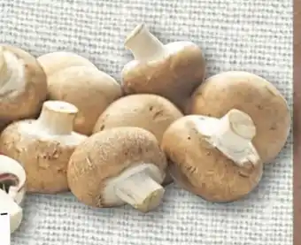 nahkauf Rewe Regional Champignons Angebot