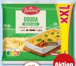PENNY Lindenhof Gouda XXL Angebot