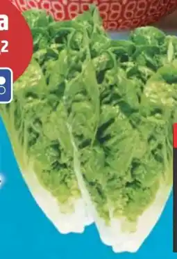 E-Center Edeka Herzstücke Mini Romanasalat Angebot