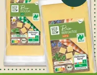 PENNY Naturgut Bio-Käse Gouda Angebot