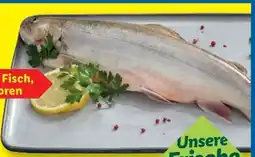 Lidl Deluxe Seesaibling Angebot