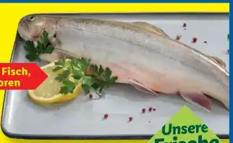 Lidl Deluxe Seesaibling Angebot
