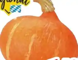 Edeka Bio Speisekürbisse Hokkaido Angebot