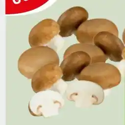 Edeka Xpress Gut & Günstig Champignons Angebot