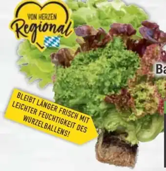 E-Center Ballensalat Trio Mix Angebot
