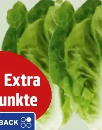 Edeka Xpress Edeka Herzstücke Mini Romanasalat Angebot
