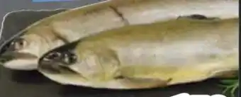 Edeka Saibling Mariniert Angebot