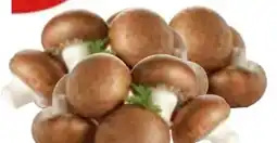 Edeka Gut & Günstig Frische Champignons Angebot