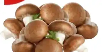 Edeka Gut & Günstig Frische Champignons Angebot