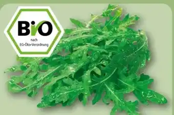 REWE Center Rewe Bio Bio-Rucola Angebot