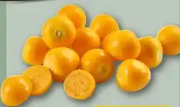 REWE Center Physalisbeeren Angebot