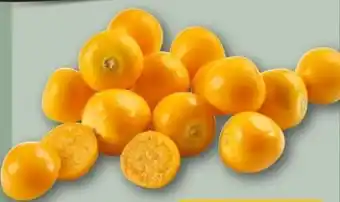 REWE Center Physalisbeeren Angebot