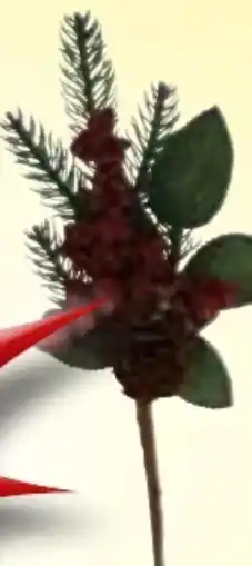 Edeka Dekozweig Angebot