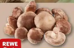 REWE Rewe Beste Wahl Shiitake Pilze Angebot