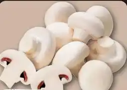 REWE Center Rewe Regional Champignons Angebot