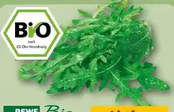 REWE Rewe Bio Bio-Rucola Angebot