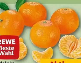 REWE Center Rewe Beste Wahl Clementinen Angebot
