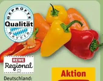 REWE Center Rewe Regional Snack Paprika Angebot