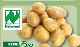 REWE Center Rewe Bio Bio-Speisekartoffeln Angebot