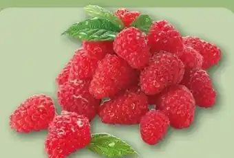 REWE Center Himbeeren Angebot