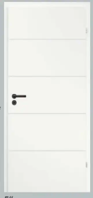 Globus Baumarkt Zimmertür Livo 5 Angebot