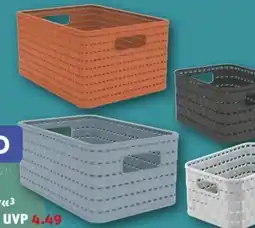 REWE Center Rotho Korb Country Angebot