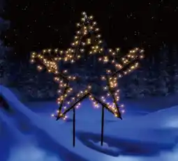 Globus Baumarkt LED-Gartenstecker Stern Angebot