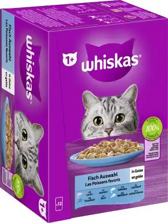 Globus Baumarkt Whiskas Katzennahrung Angebot