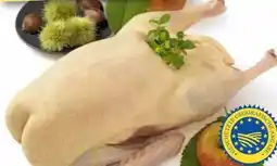 Edeka Dithmarscher Geflügel Freilandgans Angebot