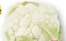 Scheck-in-Center Blumenkohl Angebot