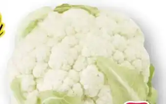 Scheck-in-Center Blumenkohl Angebot